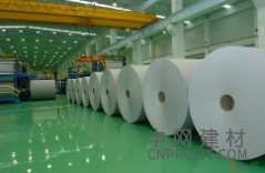 芬林集團(tuán)年產(chǎn)150萬t紙漿項(xiàng)目正式啟動